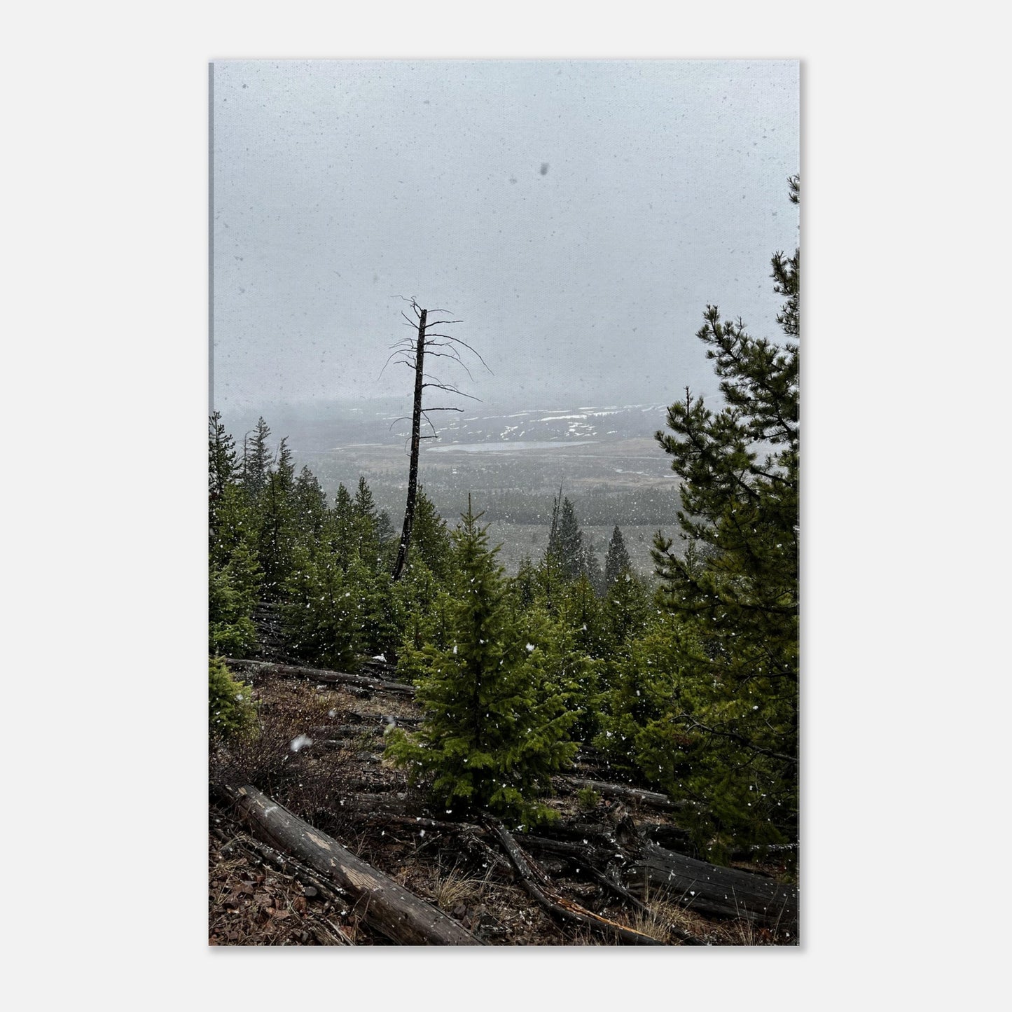 ce4b0569-f5eb-47b1-beb4-1c4d8514876f